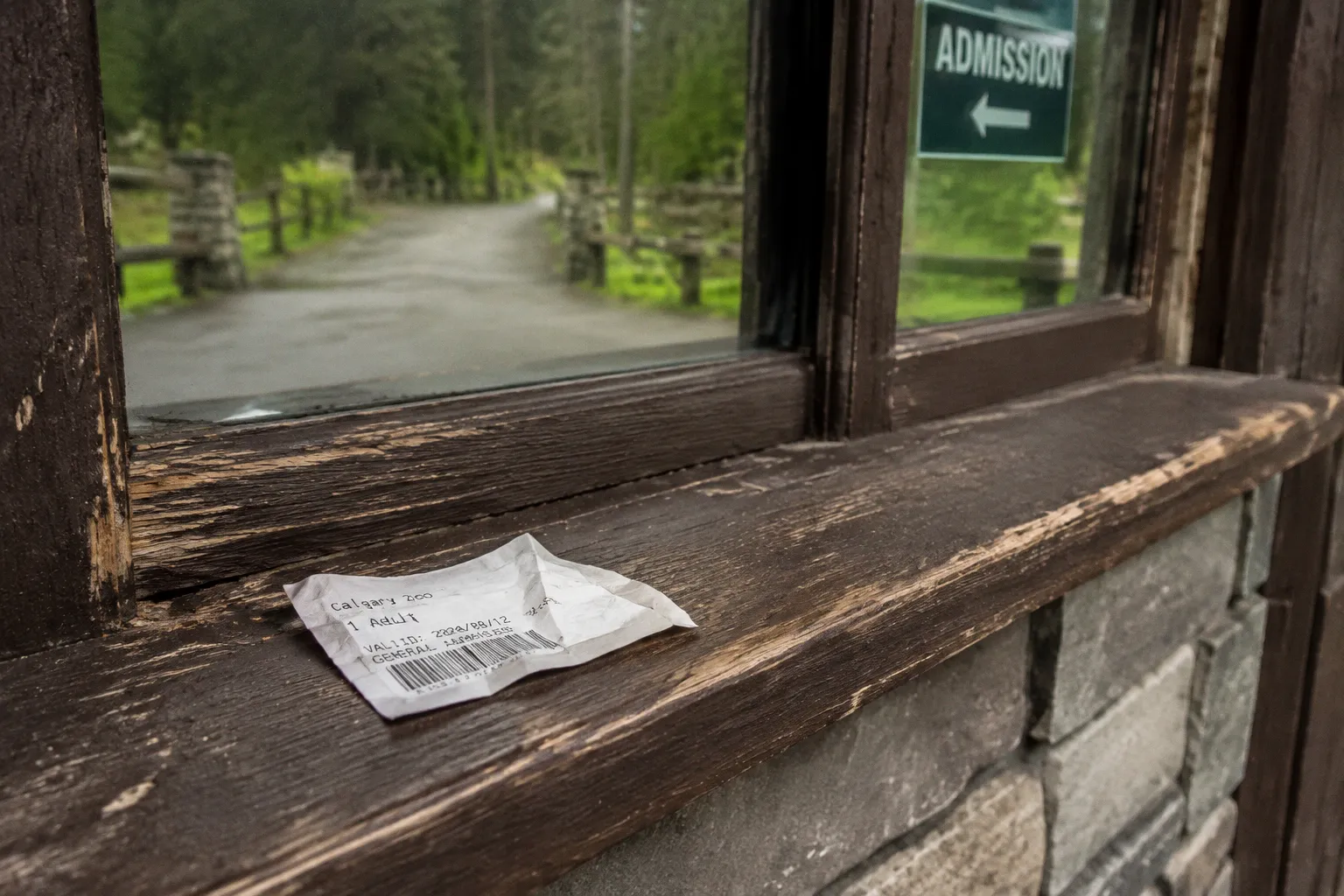 Calgary Zoo Tickets: Online-Kauf oder Tageskasse?