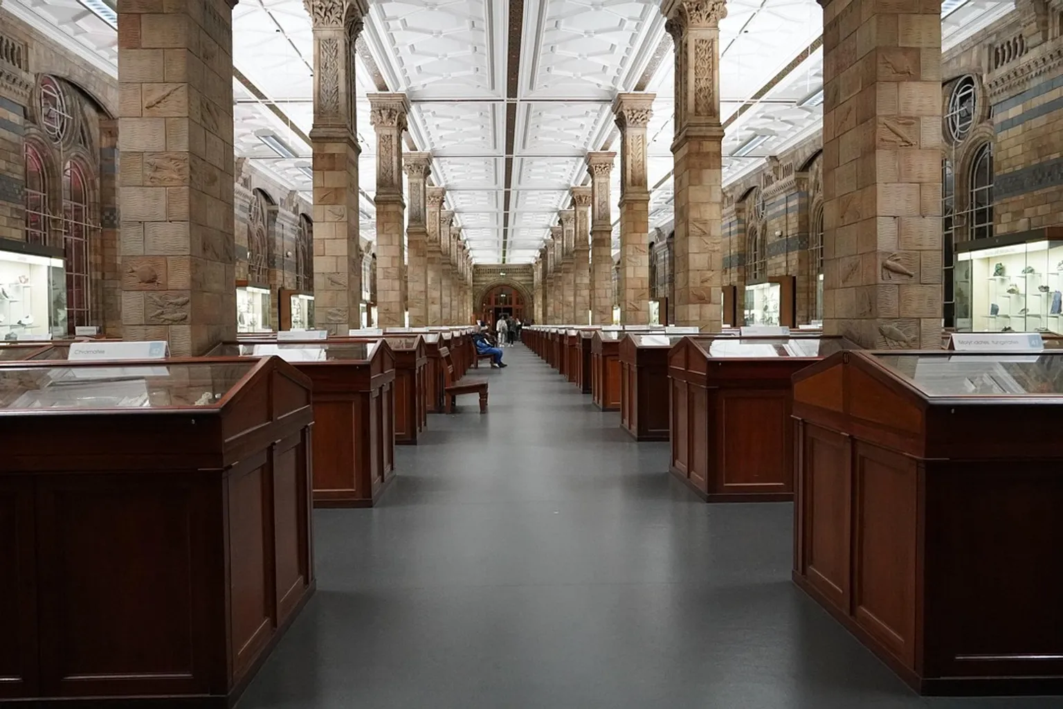 Natural History Museum Eintritt: Online-Ticket oder Walk-in?