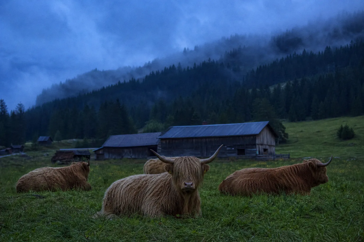Norwegens Fjorde und die bayerischen Alpen zu Fuß erleben