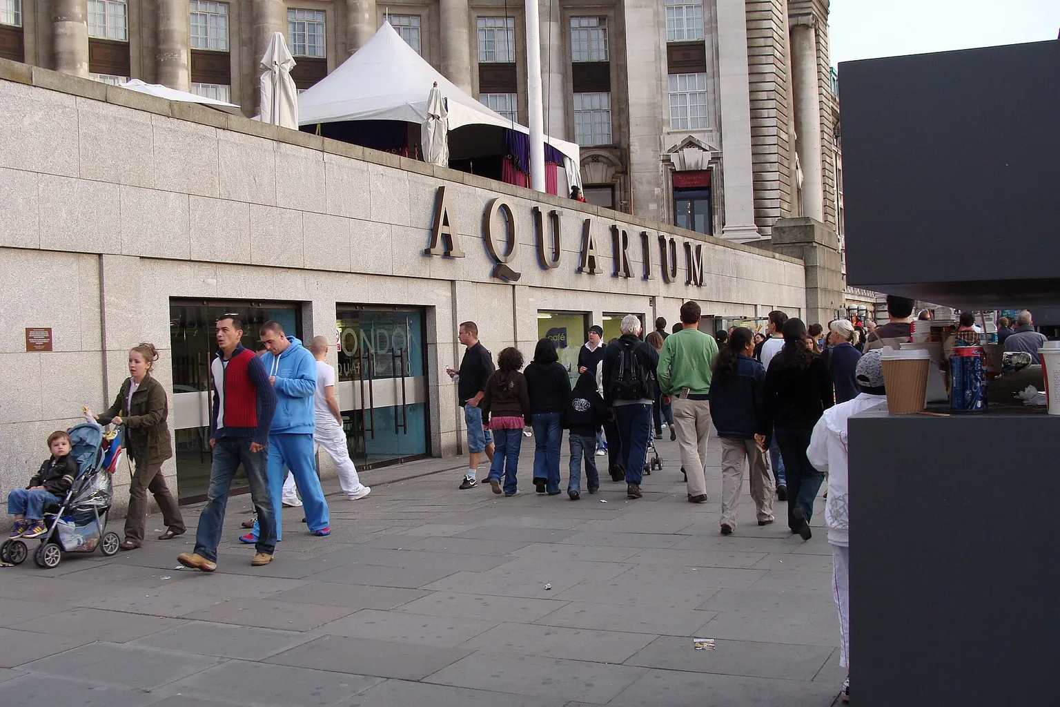 Sea Life London Eintritt: Warum Online-Tickets günstiger sind