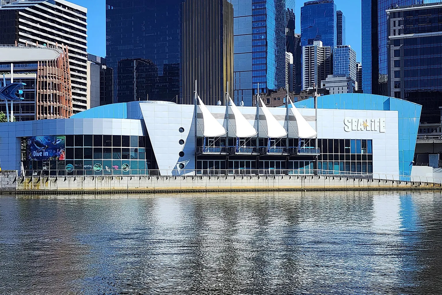 SEA LIFE Melbourne Tickets: Warum feste Zeitfenster gelten
