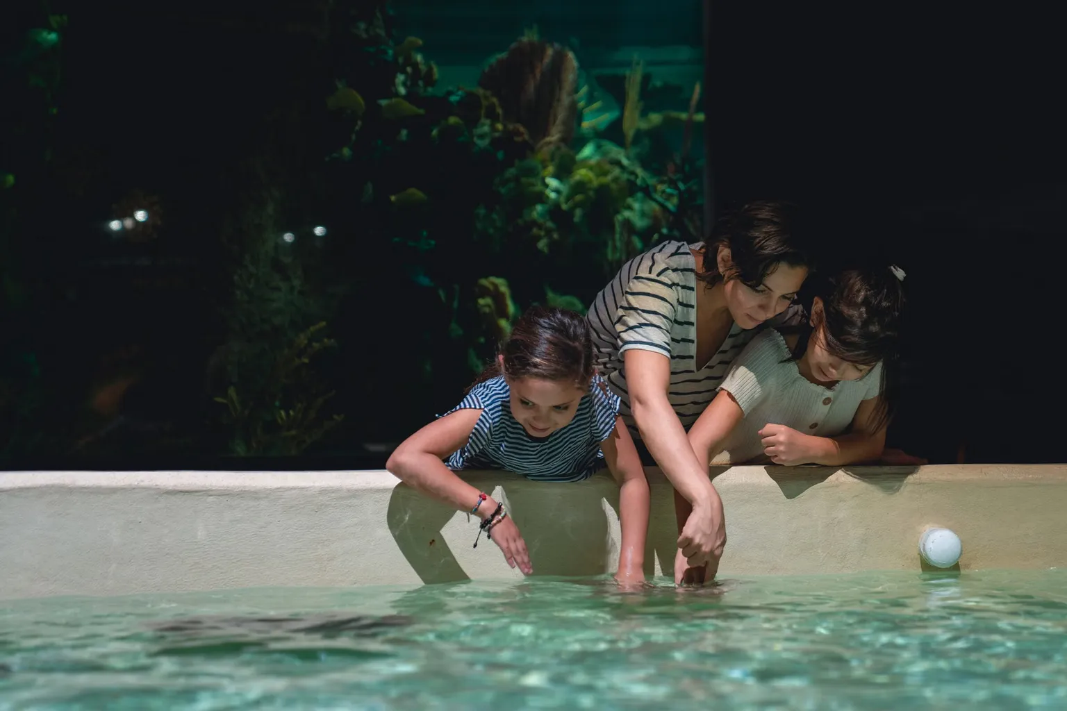 SEA LIFE Michigan Tickets: Preise, Vorverkauf und Einlasstipps für das Aquarium