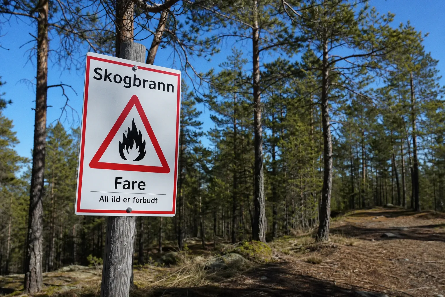 Waldbrandgefahr in Südnorwegen: Orange Warnstufe für Agder und Telemark